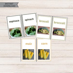 Pratiquez l'espagnol ! Cartes flash végétariennes bilingues - Cartes anglais/espagnol - Cartes végétariennes assorties - Tarjetas Didacticas en Ingles y Espanol