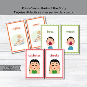 Cartes flash couleur bilingues - Cartes anglais/espagnol - Las partes del cuerpo - Tarjetas Didacticas en Ingles y Español - Parties du corps
