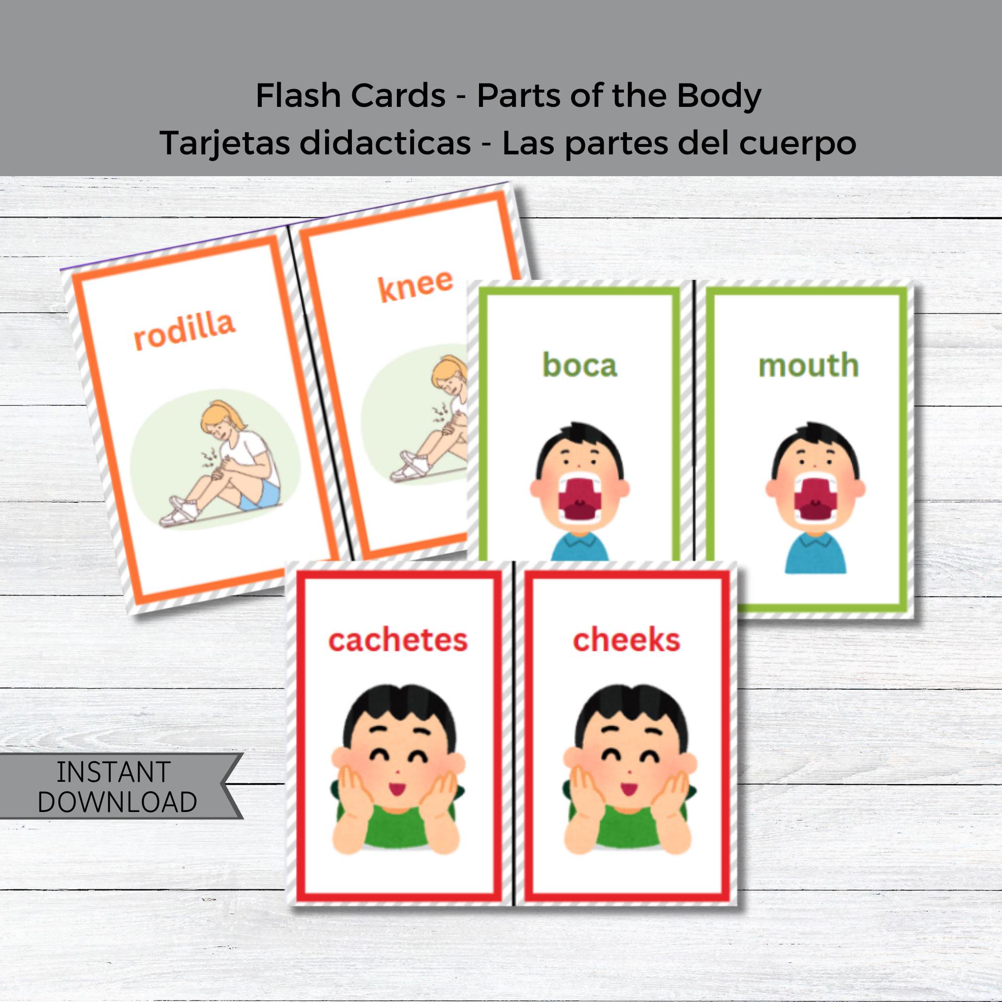 SPANISH: Body and Health – FranLaff.com, image size:2025x2025