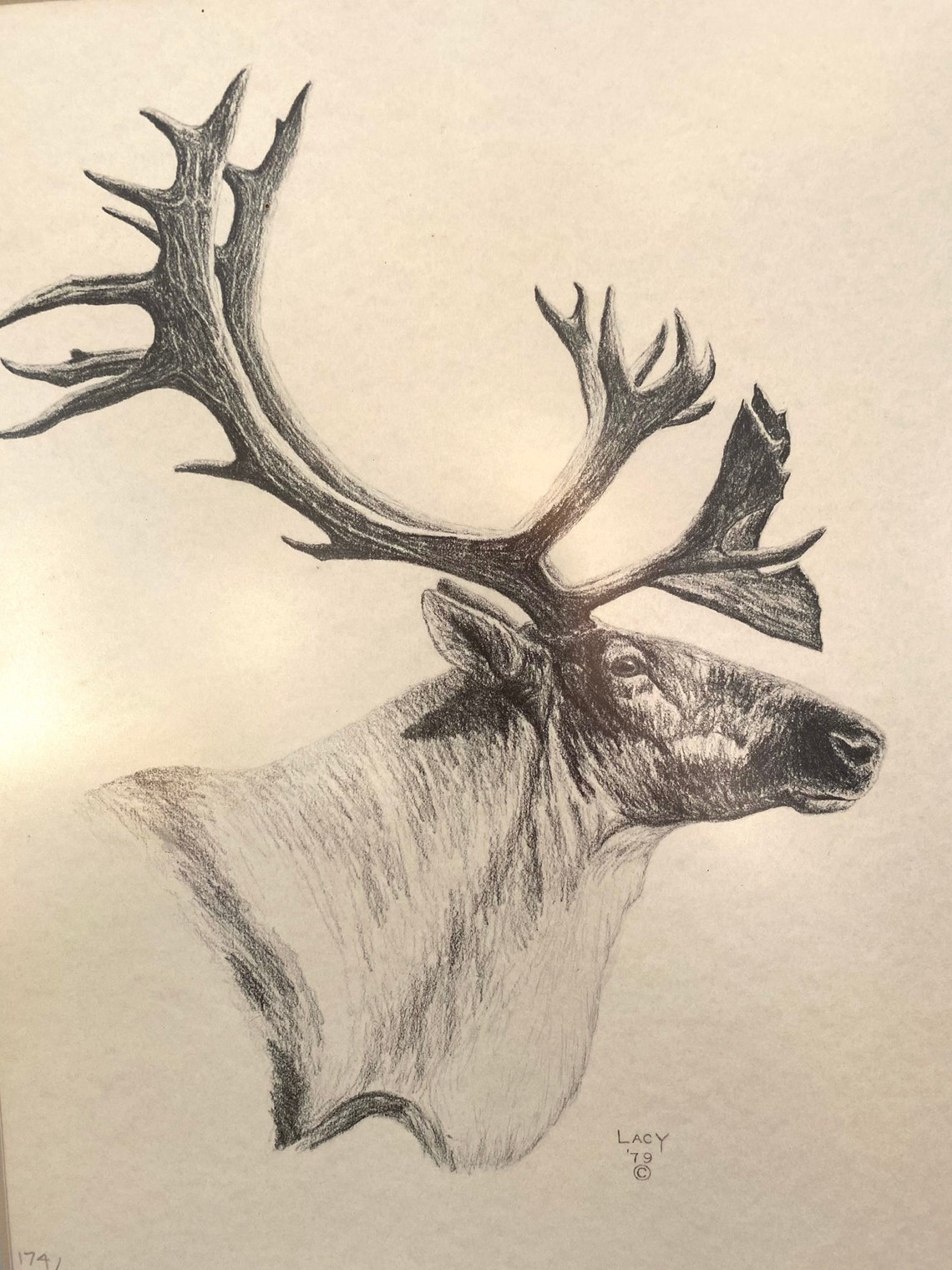 Caribou drawing by CHARLES H. LACY numbered print Canadian Etsy