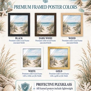 The image is a promotional poster for Driftwood and Salt Coastal Wall Art & Decor, featuring a variety of premium framed poster colors and a protective plexiglass finish.