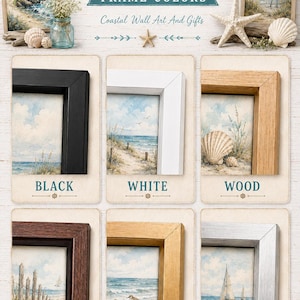 The image is a collage of six framed canvas paintings, each with a different frame color, arranged in a grid format. The paintings depict various coastal scenes, including a lighthouse, a bird, a sailboat, and a beach. The frame colors are black, white, wood, gold, and silver.