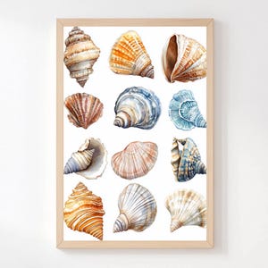 Arte de pared de conchas marinas, lienzo vintage de conchas marinas, decoración costera espiritual, pintura náutica serena, el mejor regalo para los amantes de la playa.