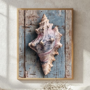 Coastal Seashell Wall Art, Wooden Framed Canvas, Nautical Shell Decor, Coastal Living Room Accent, Weathered Wood Look Print
