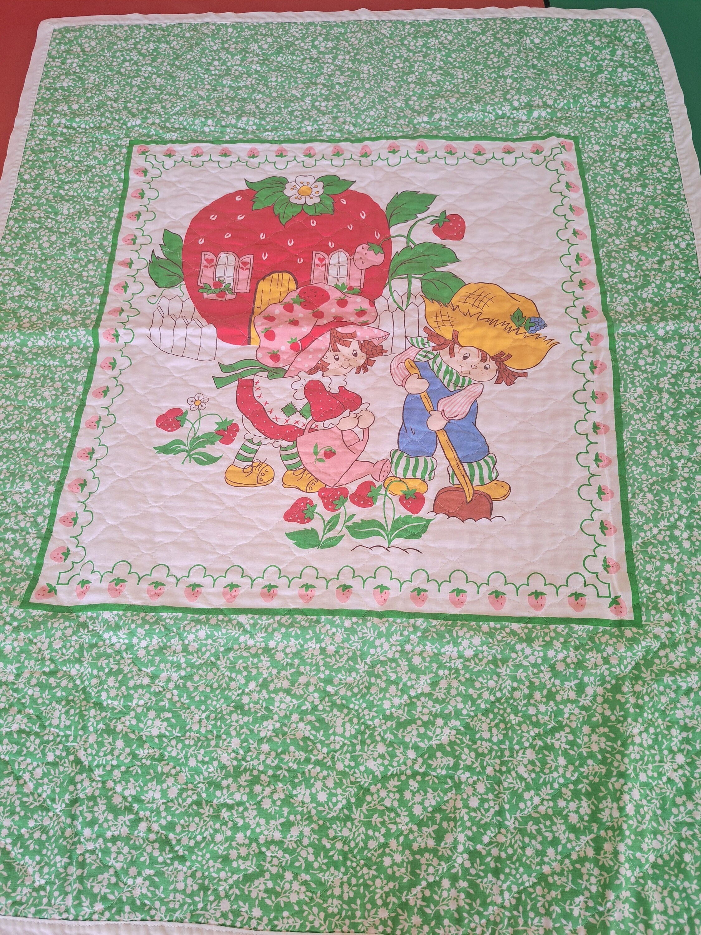 Strawberry shortcake blanket new arrivals