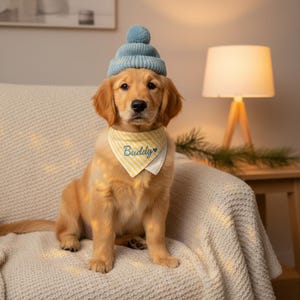 May include: A golden retriever puppy wearing a pale blue knitted beanie and a yellow and white striped bandana. The bandana is embroidered with the name "Buddy" and a blue heart. The dog is sitting on a cream-coloured blanket.