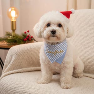 May include: A small white dog wearing a red and white Santa hat and a blue and white striped bandana. The bandana has the word "Snowflake" embroidered in gold. The dog is sitting on a cream-coloured chair.