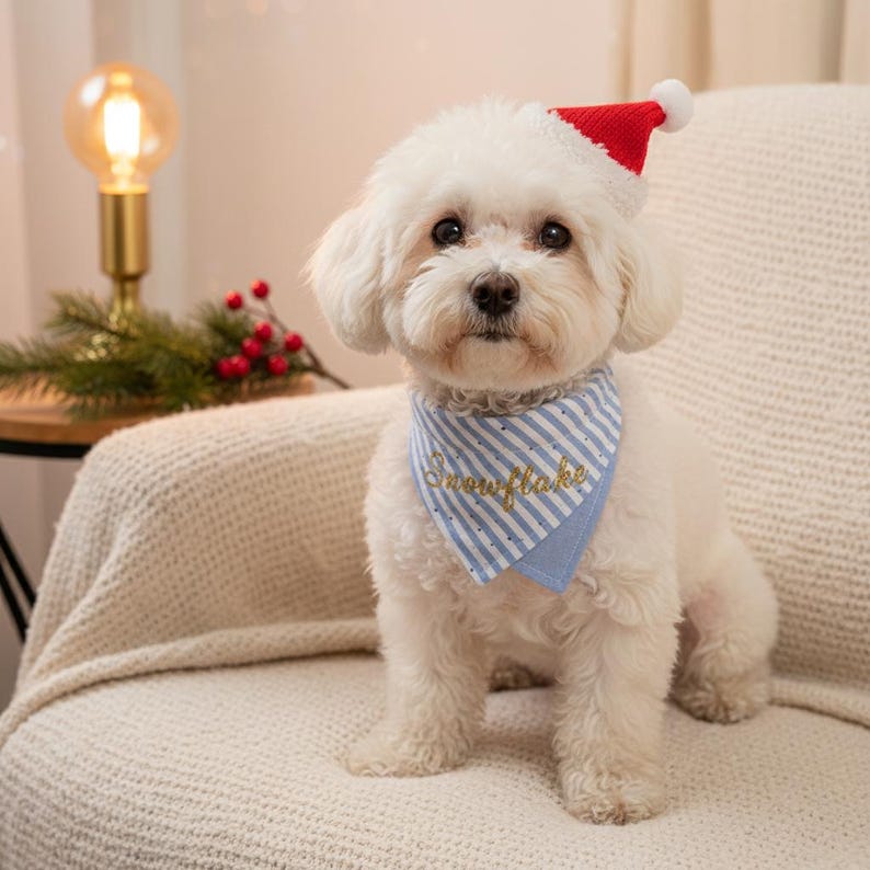 May include: A small white dog wearing a red and white Santa hat and a blue and white striped bandana. The bandana has the word "Snowflake" embroidered in gold. The dog is sitting on a cream-coloured chair.