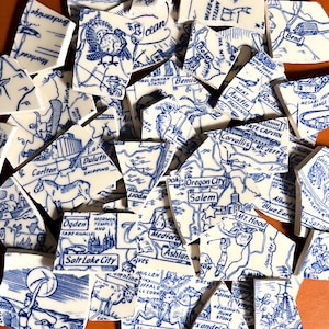 15 USA Karte Vintage Hand geschnitten gebrochene Porzellan-Mosaikfliesen, DIY Handwerk Kunst Lieferungen, USA-Platte unregelmäßige blaue weiße Tier-Kapitoli