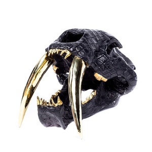 Saber Tooth Tiger Skull Replica with Black Leather Head and Gold Metal Teeth