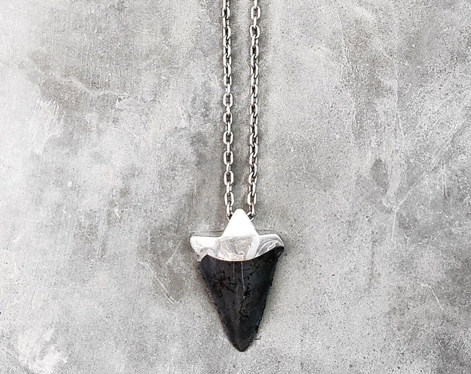 Megalodon Fossilized Shark Tooth on Solid Silver Chain