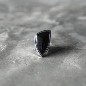 May include: A close-up of a silver ring with a large, polished black gemstone. The gemstone has a unique, asymmetrical shape. The ring's silver band has a sleek, modern design, complementing the dark stone. The ring is set against a neutral gray background.