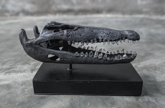 Bronze Metal Crocodile Skull with Quartz Crystal Teeth - Gothic Home Decor Art Piece Sculpture