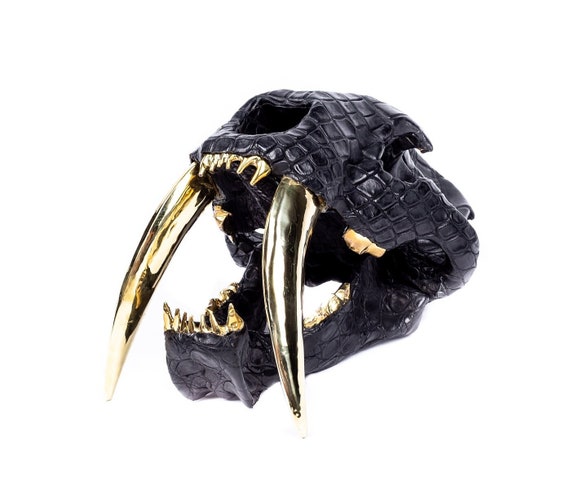 Saber Tooth Tiger Skull Replica with Black Leather Head and Gold Metal Teeth