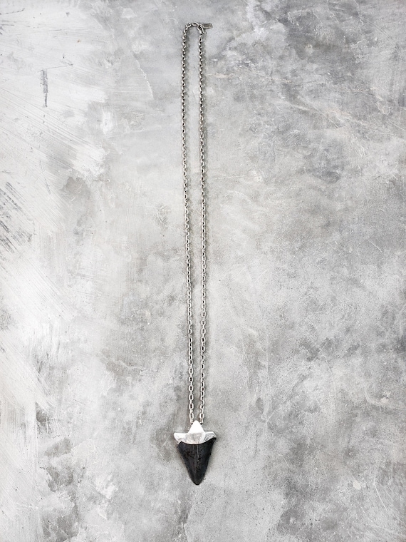 Megalodon Fossilized Shark Tooth on Solid Silver Chain