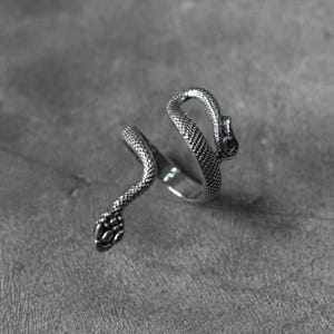 Op de afbeelding: Een zilverkleurige ring in de vorm van een slang. Het lichaam van de slang wikkelt zich om de vinger, met de kop en staart die samenkomen. De ring heeft een textuur met schubben.