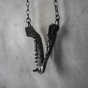 JAW GENERATION Necklace Black Rhodium