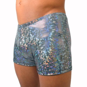 May include: Silver holographic shorts. These shorts have a shiny, textured appearance with a geometric pattern. The shorts are form-fitting and appear to be made of a stretchy material. The shorts are designed for dance or performance wear.