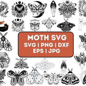 Puede incluir: Una colección de 20 ilustraciones de polillas en blanco y negro con detalles intrincados. Las polillas se representan en varias poses, incluyendo volando, descansando y posadas en flores. Las ilustraciones son perfectas para proyectos de manualidades, scrapbooking y diseño digital.