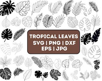 TROPICAL SVG Bundle Jungle Floral SVG Monstera Banana Leaf Palm Leaf Hibiscus Fern Cut File Cricut Silhouette Svg Png Dxf Eps