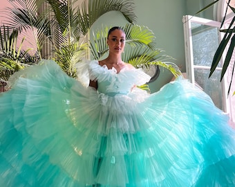 Puede incluir: Una mujer con un vestido de tul azul claro de múltiples capas. El vestido tiene un corpiño blanco con un escote de volantes. La mujer está de pie en una habitación con paredes verdes y plantas.