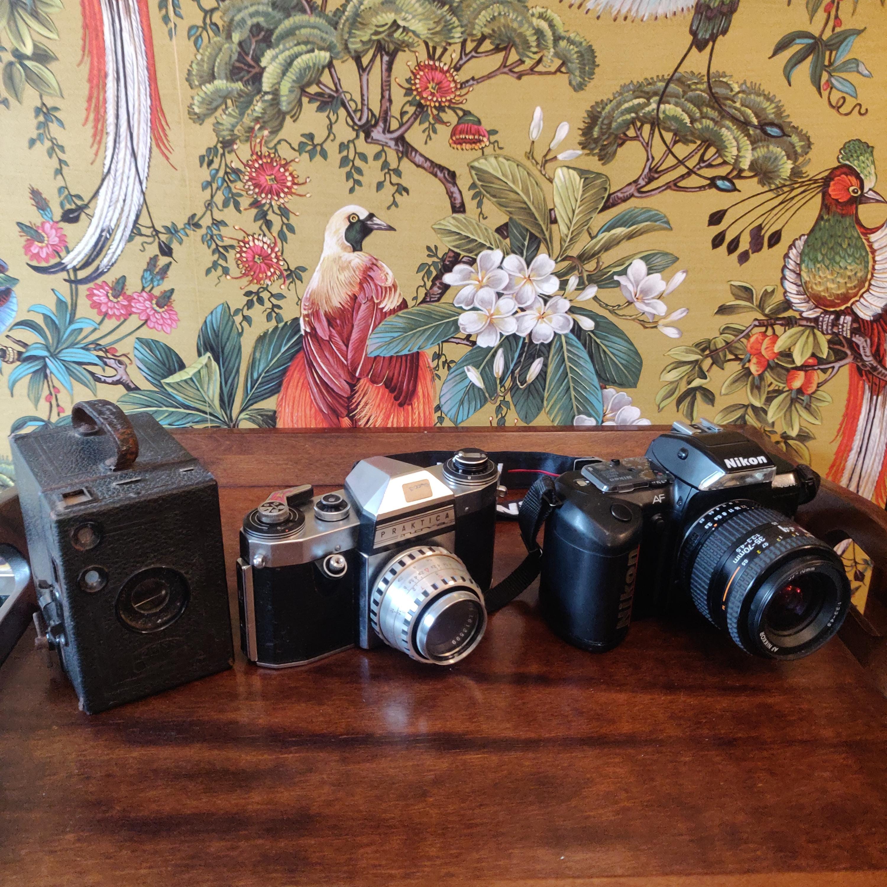 Nikon f401 - Etsy 日本