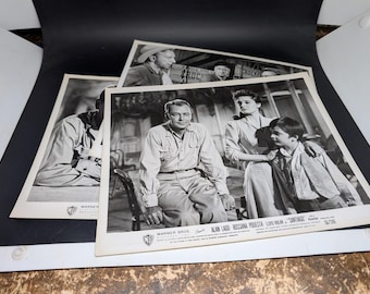 Set of 3 Santiago Movie photos- Alan Ladd - Lloyd Nolan - Rossana Podesta