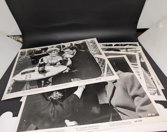 Set of 5 Original Of Human Bondage Movie Photo - Kim Novak - Laurence Harvey 64
