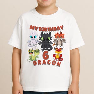 Kids Birthday Dragon Tee - How to Train Your Dragon, Cute Cartoon Characters, Gift for Ages , Birthday Party Shirt, Fun Graphic Tee