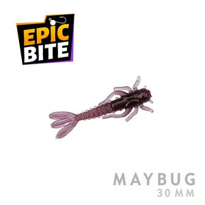 May include: A purple and black Maybug fishing lure, 30 mm in length, with a segmented body and multiple appendages. The lure is designed to mimic a small insect. The Epic Bite logo is in the upper left corner.