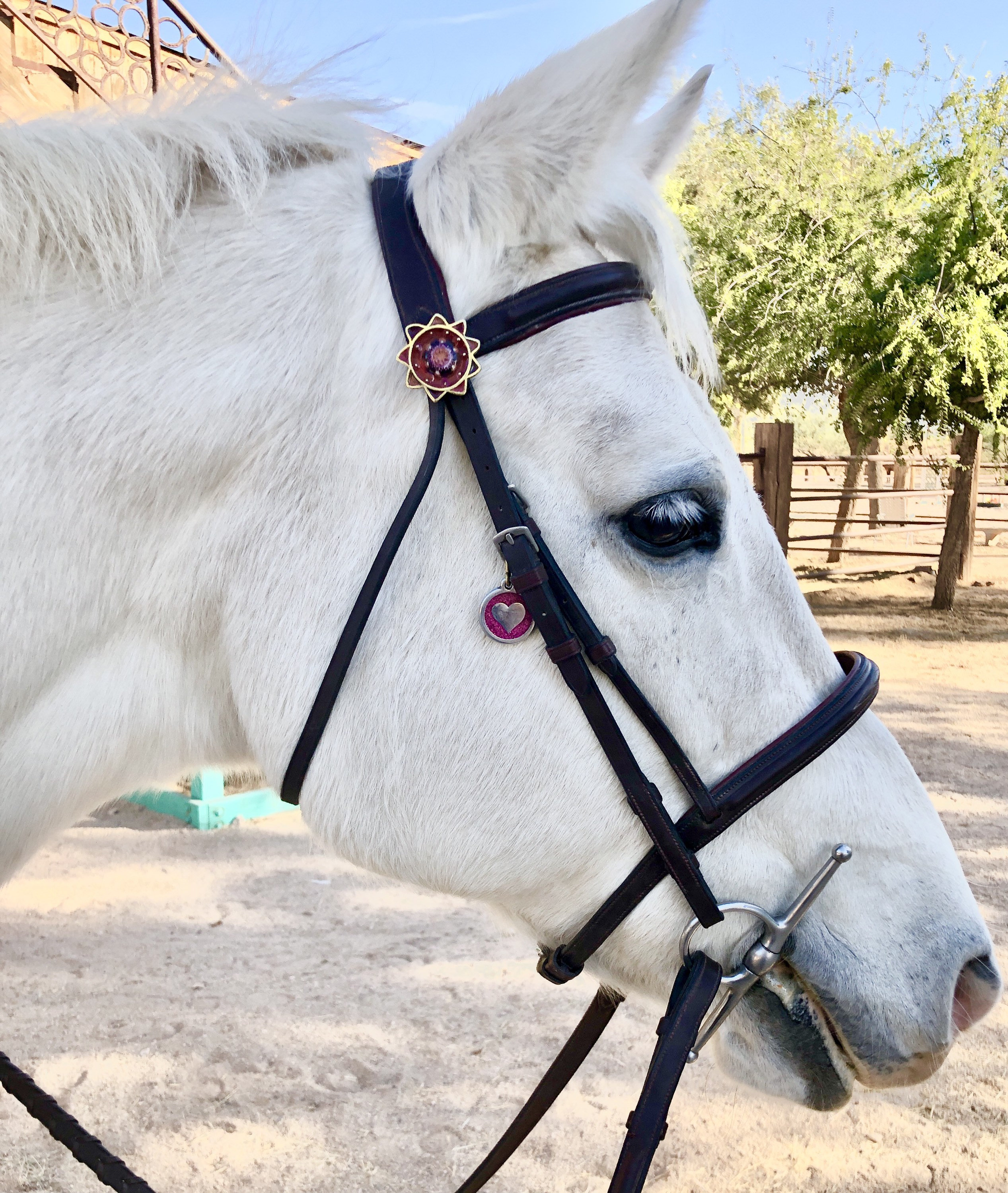 Red ribbon rosette horse bridle ornament pendant or brooch Etsy