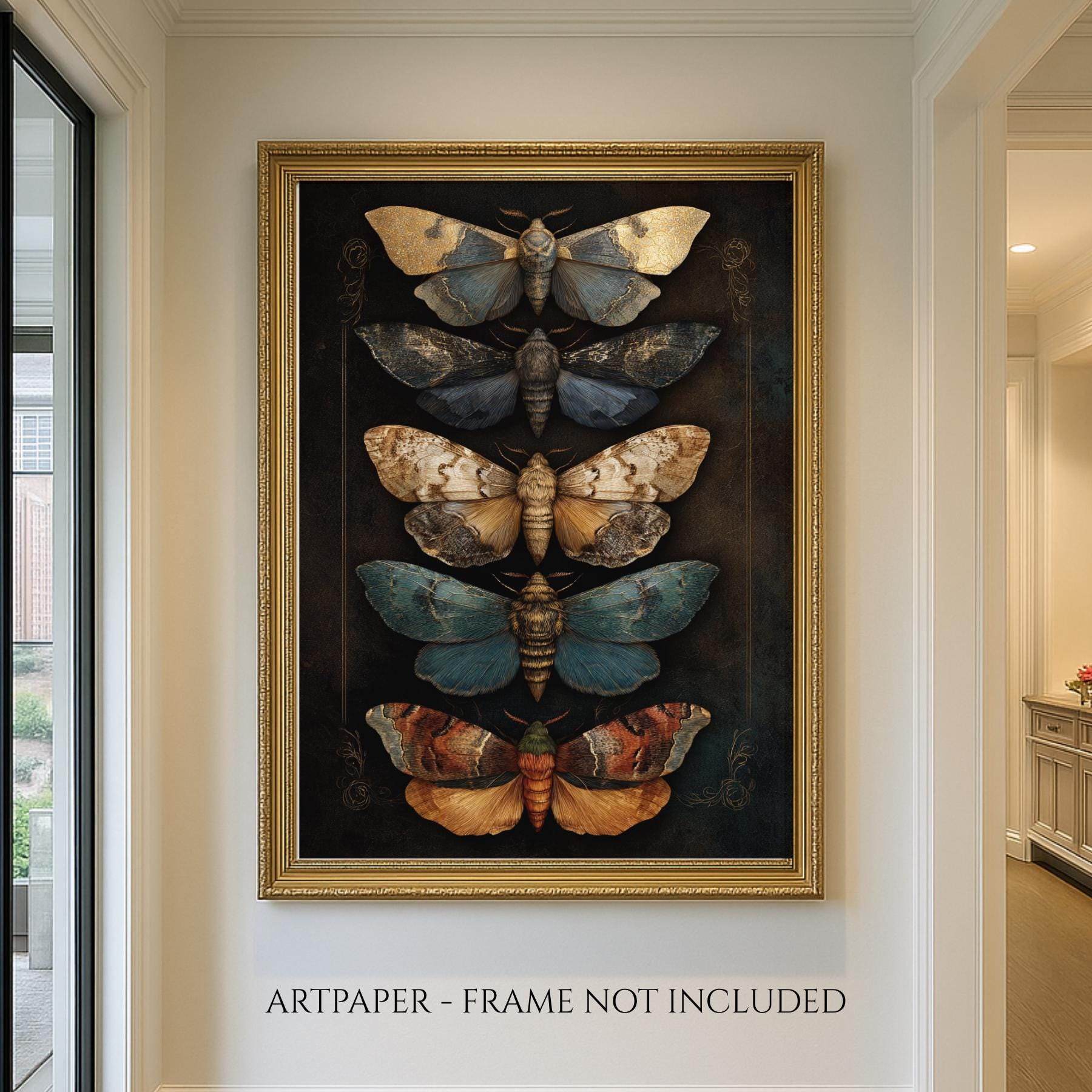 Vintage Moth Illustration Wall Art Print, Insect Curiosity Cabinet ...