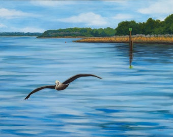 Pelican in Flight -giclee print on canvas