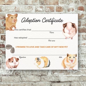 Certificato di adozione di criceto, Certificato di adozione di animali domestici, Modello modificabile + pdf + jpg, Lettera USA, Adozione di criceto acquerello stampabile