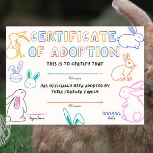 Bewerkbaar adoptiecertificaat konijn, canvassjabloon, (7 x 5 inch) digitale download, Bunny Pet Shop, reddingsgroep, dierenasiel, Instant Download