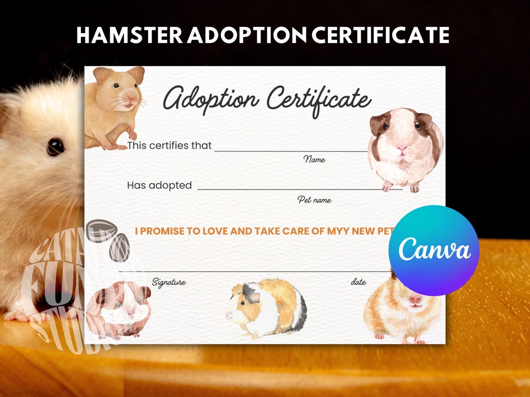 Animal Rescue Rat Sanctuary Near Me Pet Boarding Rodent - Main Image