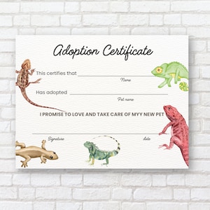 Adoptionszertifikat für Haustiere, Adoptionszertifikat für Haustiere, bearbeitbare Vorlage + pdf + jpg, US-Letter, druckbare Eidechsenadoption, Geckoadoption