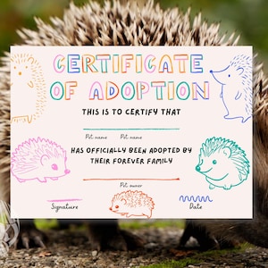 Bewerkbaar adoptiecertificaat egel, digitale canvassjabloon voor kinderen en dierenliefhebbers (7 x 5 inch), direct downloaden, afdrukbare nieuwe huisdieraandenken