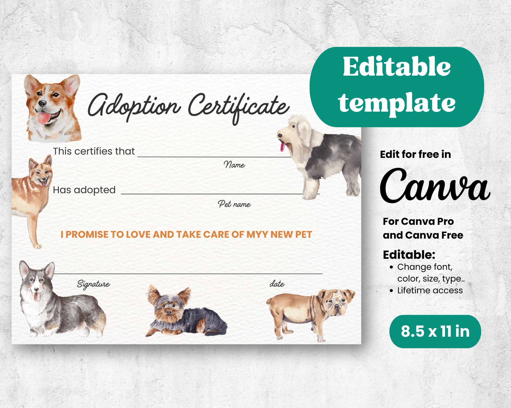 Dog Adoption Certificate, Pet Adoption Certificate, Editable Template ...
