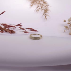 Peut inclure: Une bague en or avec une rangée de petites pierres claires serties dans la bande.