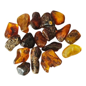Genuine Baltic Amber Tumbled Crystal.