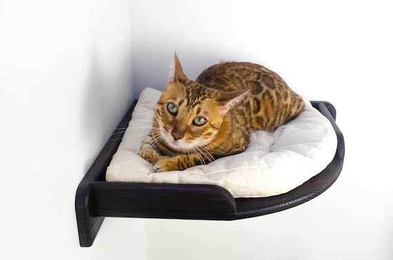 Corner cat hammock sales
