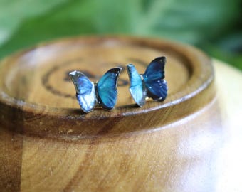 Blue Morpho Butterfly Earrings, Butterfly Stud Earrings, Blue Butterfly Jewelry, Nature Earrings, Resin Earrings, Miniature Art Jewelry