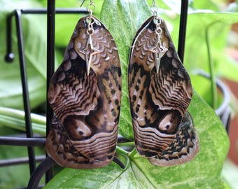 Giant Owl Moth | Butterfly Wing Earrings | Handmade | Hypoallergenic Stainless Steel