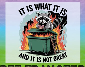 Sarcastic Racoon Dumpster Fire DTF Transfer, Funny Snarky Ready To Press
