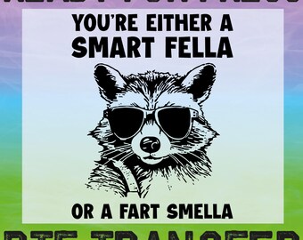 Are You A Smart Fella Sarcastic DTF Ready To Press, Funny Raccoon Transfer