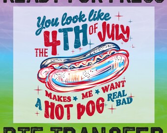 You Look Like the 4th of July DTF Transfer, Retro Funny America Hot Dog