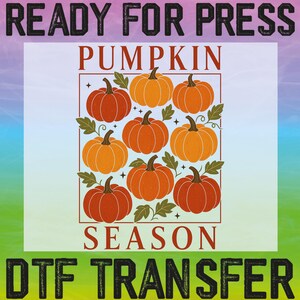 Pumpkin Season Ready To Press, Fall Pumpkin Dtf, Autumn Dtf, Pumpkin Gift Dtf, Trendy Fall Pumpkin Dtf, Trendy Fall Heat Transfers, Pumpkins