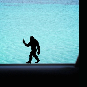 May include: A black silhouette of Bigfoot giving the middle finger, set against a backdrop of turquoise water. The figure is walking, with one arm raised. The image is framed by a dark border.