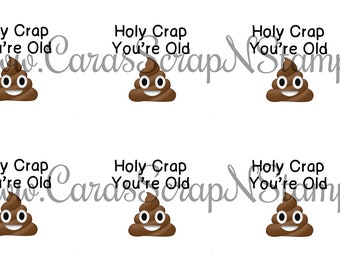 Holy Crap You're Old Printables Birthday Cupcake Toppers -  DIY - PDF